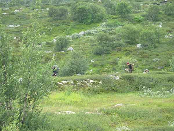 Image description