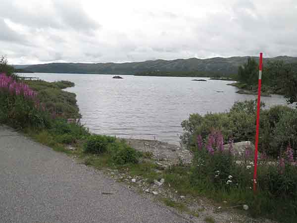 Image description