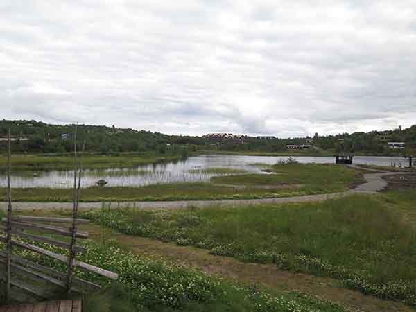 Image description