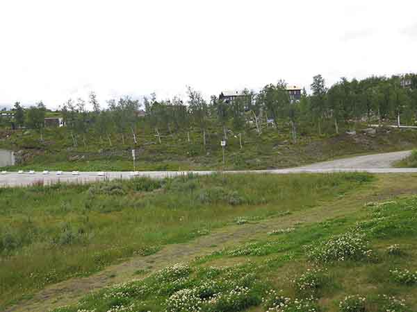 Image description